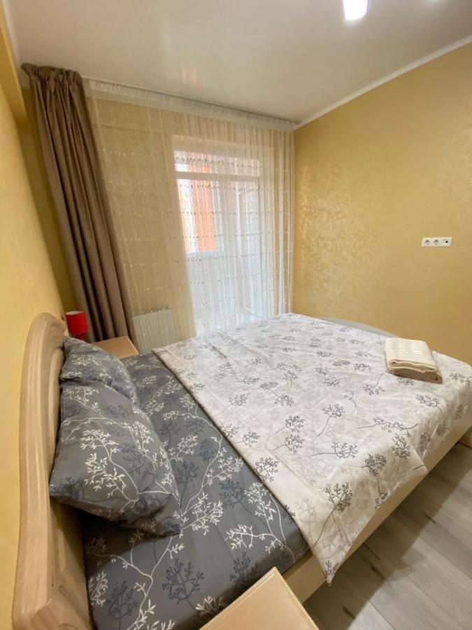 Two Bedroom Large Apartment In キシナウ エクステリア 写真