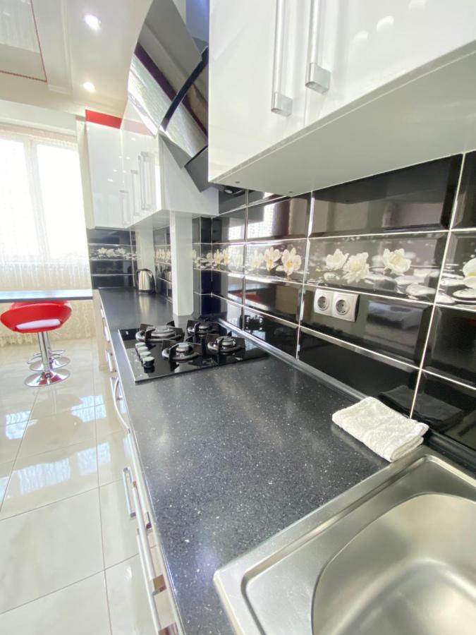 Two Bedroom Large Apartment In キシナウ エクステリア 写真