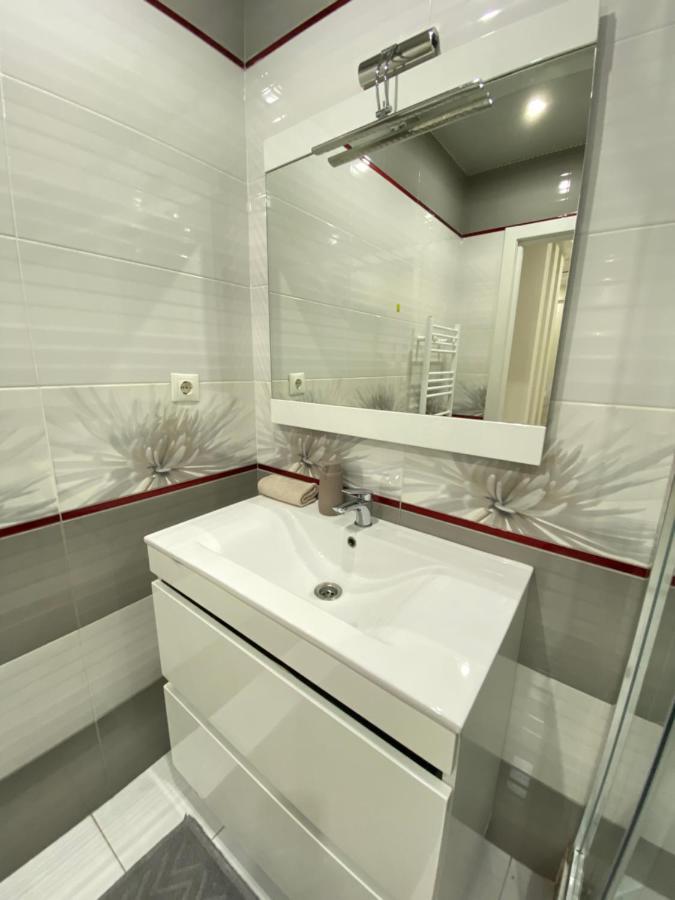 Two Bedroom Large Apartment In キシナウ エクステリア 写真
